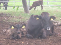 台湾在住のナイチャーが行くヤイマの旅（2）