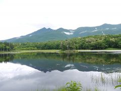 夏の北海道　　知床・羅臼　満喫の旅　 ⑤   知床五湖・フレベの滝・クルーズ船観光