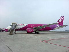 2013/7/31（水）peachに乗ってどんぶらこ～