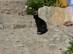 猫探し【ポルトガル・Porutugal（白い家と青い空には何故か黒い猫ちゃんが似合う）編】
