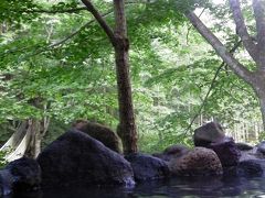 温泉めぐり東北の旅 2013 1日目 (花泉～花巻)