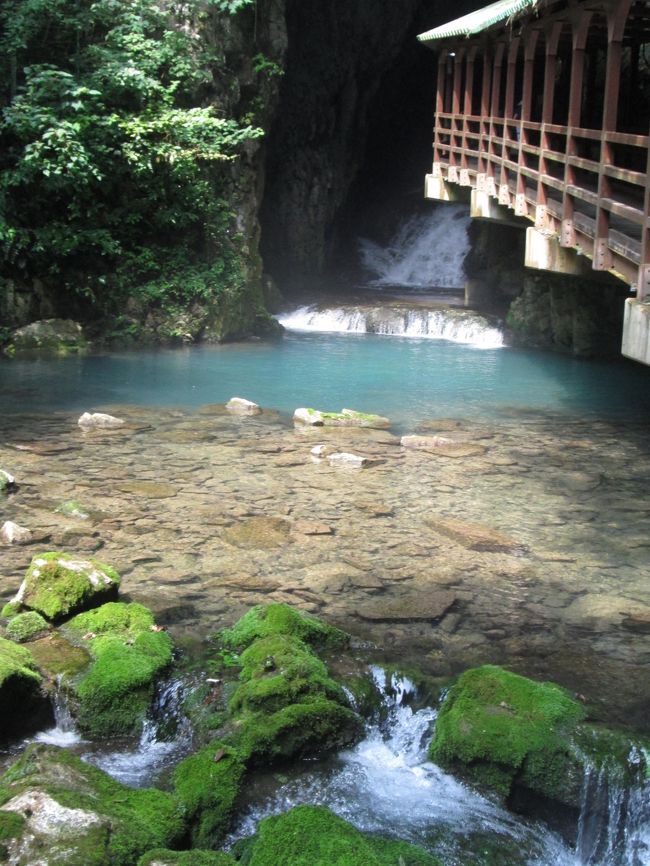 ２０１３年の夏休みは、愛知県から山陰・山陽・ちょこっと九州・ちょこっと四国のドライブ家族旅行１週間の旅を計画しました。<br /><br />結局、疲れたということで四国には渡らずでしたが、そのほかは、計画通りの１週間の旅ができました。<br /><br />ここは、４日目その１　秋吉台・秋芳洞　の旅行記です。<br /><br />行った所<br /><br />１日目　　鳥取砂丘・境港・水木しげるロード・松江城・稲佐の浜・（ファミリーロッジ旅籠屋出雲大社店　泊）<br />２日目　　出雲大社・石見銀山・（温泉津温泉輝雲荘別館　泊）<br />３日目　　北長門海岸国定公園・萩城跡指月公園・萩博物館・萩城下町・松陰神社・松下村塾跡・（萩本陣　泊）<br />４日目　　秋吉台・秋芳洞・関門海峡・福岡市博物館・福岡タワー・博多・キャナルシティラーメンスタジアム（ホテルポートヒルズ福岡　泊）<br />５日目　　太宰府天満宮・九州国立博物館・新門司港・岩国錦帯橋・（車中泊）<br />６日目　　広島原爆ドーム・平和記念公園・安芸の宮島・厳島神社・（グランドプリンスホテル広島　泊）<br />７日目　　呉大和大和ミュージアム・尾道千光寺公園