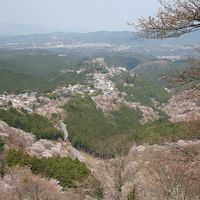 201004_03-桜を見に奈良・京都へ Cherryblossoms in Yoshino / Nara