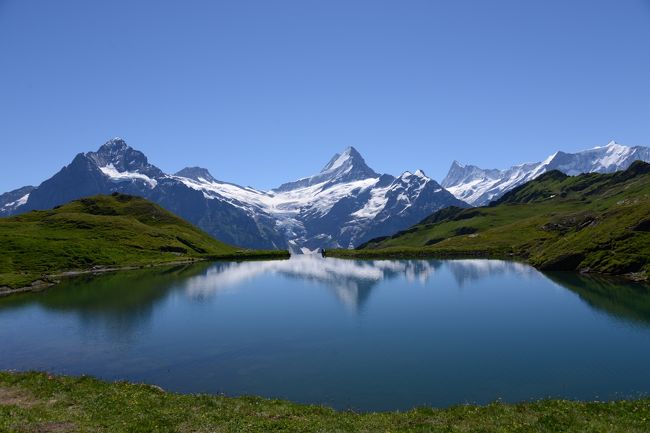 ハイキングを中心としたスイス旅行に行ってきました。<br />実はまともなハイキングは初めて。<br />11歳と7歳の娘2人を連れての家族4人でのハイキング。<br />子供連れの方の参考になればと思います。<br /><br /><br />■本コースの情報■<br />フィルストのゴンドラ駅と山上湖「バッハアルプゼー(Bachalpsee)」の往復コースです。ガイド本なんかには1時間とありますが、写真を撮ったり休憩したり、娘がぐずったり(笑)で行きは2時間かかりました。帰りは下りが多く1時間もかかりませんでした。<br /><br /><br />■他のコースの紹介■<br />・アイガーグレッチャー ⇒ クライネシャイデック<br /> http://4travel.jp/traveler/nagabuchikai/album/10804037/<br /><br />・ハイジハウス ⇔ ハイジヒュッテ<br /> http://4travel.jp/traveler/nagabuchikai/album/10807787/ <br /><br />・スネガ ⇔ グリンジゼー<br /> http://4travel.jp/traveler/nagabuchikai/album/10808026/