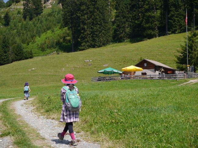 ずっと憧れていたスイス。<br />それも「アルプスの少女ハイジ」に出てくるあの景色。<br /><br />やっと念願かなって行ってきましたマイエンフェルト。<br />そして「青コース」と呼ばれる、アルムおんじの山小屋までのハイキングコースを歩いて来ました。<br /><br />片道２時間程度で行きはひたすら登りなので子供達はつらそうでしたが、山小屋を見た時の感動は忘れられません。<br />