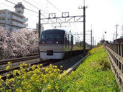 <東伏見旅行>満開の桜♪ 東京の伏見稲荷、東伏見稲荷神社！ 