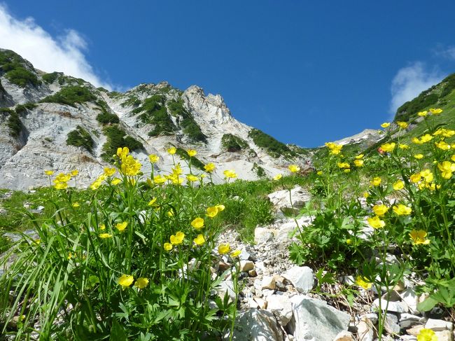 白馬岳（しろうまだけ）は、飛騨山脈（北アルプス）北部の後立山連峰にある標高2,932 mの山。長野県と富山県にまたがっている。<br /><br />全長3.5km、標高差600mの白馬大雪渓、落石多発地帯で、毎年のように怪我人、死亡者が出ており、登山するのもためらわれていたが、これも今でしょで思い切って出かけてきました。<br /><br />８月も終わりの頃で、登山者もお花も少ないかと思いきや、さすが百名山、花の百名山、人気の山でした。<br /><br />撮ったお花が多くて、最後にお花編を入れて、三部作にしてみました。