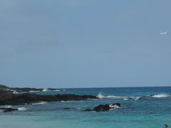 ハワイ島　マイプラン・・・クァベイ～パブナビーチも最高ですが・・・