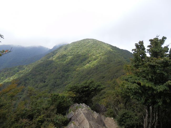 ８月３１日土曜日、前日まで天候が台風１５号でイマイチでしたが、東京方面は晴れマーク？<br />思い切って伊豆半島最高峰・天城山（１４０５ｍ）へ。<br /><br />≪ルート≫マイカーで東名：厚木ＩＣ→小田原厚木道路→箱根新道→国道１号：箱根ターンパイク→伊豆スカイライン→終点：天城高原ゴルフ場<br /><br />帰りは、一般道で伊東へ→熱海ビーチライン→真鶴道路→西湘バイパス→小田原：小田原厚木道路→厚木→東名へ<br /><br />≪天気≫箱根山中は濃霧で視界２０ｍ・伊豆スカイライン最終点近くで視界が開け、登山口では晴れました。<br />心配していた天候は回復。<br /><br />≪写真≫万二郎岳下の岩場から万三郎岳を望む。<br /><br />アマギシャクナゲ（５月頃）やアセビのトンネル（３月～５月頃）の時期とはまったく関係ない季節でしたが、取りあえず天気だったので山行を楽しめました。<br />今度は５月頃に行きたいです♪