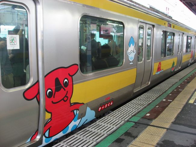 JR東日本千葉支社は2013年6月2日から8月31日まで千葉県のマスコットキャラクター「チーバくん」のイラストをラッピングした電車を中央・総武線各駅停車(千葉〜三鷹間)で運行していました。<br />春にもラッピング電車が走っていましたがデザインも夏仕様になっています。