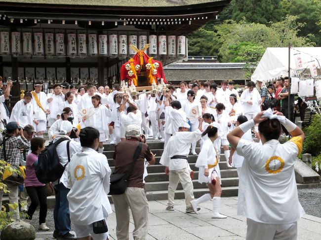 2年ぶりに松尾大社の八朔祭に行ってきました。<br />女性が担ぐ神輿で有名ですが、この日は奉納相撲を兼ねた京都府の中学校相撲大会が開催されます。<br />心配された天候も何とかもって、曇り空のなかですが女性たちが大活躍でした。