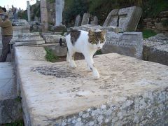 遺跡と大自然と猫とトルコ