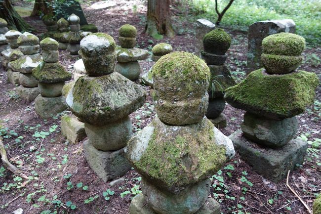 信州の鎌倉と呼ばれる別所温泉は歴史も古く、お寺など見所も点在。<br />歩いて名所を巡ります。<br />徒歩でもそれなりに楽しめますが、車ならもっとあれこれ楽しめそう。<br /><br />しかし暑さがぶり返しており、炎天下の観光は消耗しました。<br /><br />写真は常楽寺の石塔。