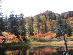 秋を満喫　北海道の旅　②こんな紅葉見たことない！大雪高原沼めぐり