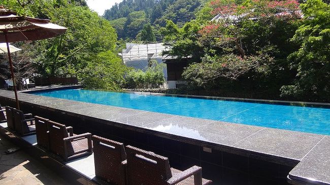 以前に大正館芳泉で昼食した経験があり、今日も々コースと思って「東府や」へ行きました。<br /><br />しかし、離れの増築で大正館芳泉の前の通路が閉鎖されていて、入ることができませんので、ベーカリー&カフェで少し早目の昼食にしました。<br /><br />写真は、足湯席と観賞プール<br /><br />