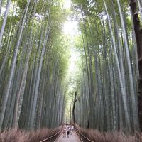 京都・大阪ふたたび・車折神社から嵐山散策竹林の道へ