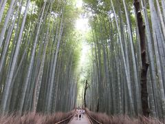 京都・大阪ふたたび・車折神社から嵐山散策竹林の道へ