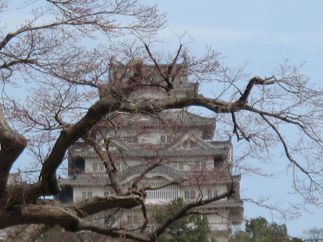 桜のきれいな時期に姫路城を見に行ってきました。<br />2010年の旅行を思い出して。