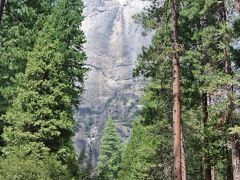 夏のYosemite & Sequoia Vol.1