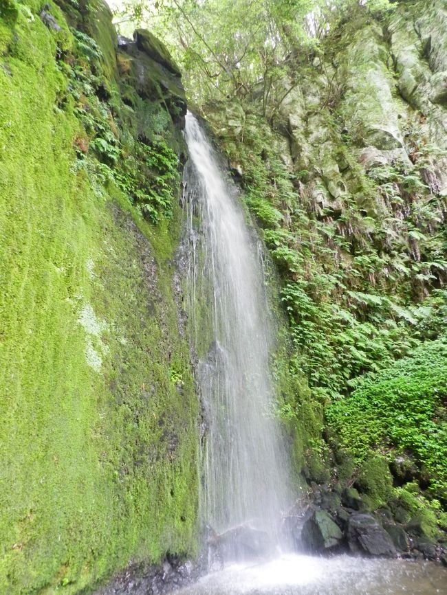 鳥取市青谷町の山中にある滝を訪れました。<br />「御滝山」と呼ばれる霊場に、三つの滝（不動滝・湯原滝・妙円滝）が歩いて回れる距離にあるという、滝メグラーには嬉しいスポットです。<br /><br />※表紙写真は「湯原滝」です。