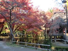 世界遺産の平泉観光