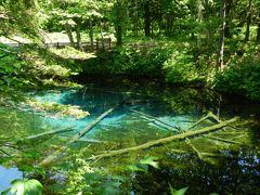 神様からの贈り物『神の子池』◆三年連続で初夏の北海道へ／2013年は道東＆小樽オフ会≪その９≫