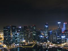 現地駐在の友達をたずねてin Singapore　2013