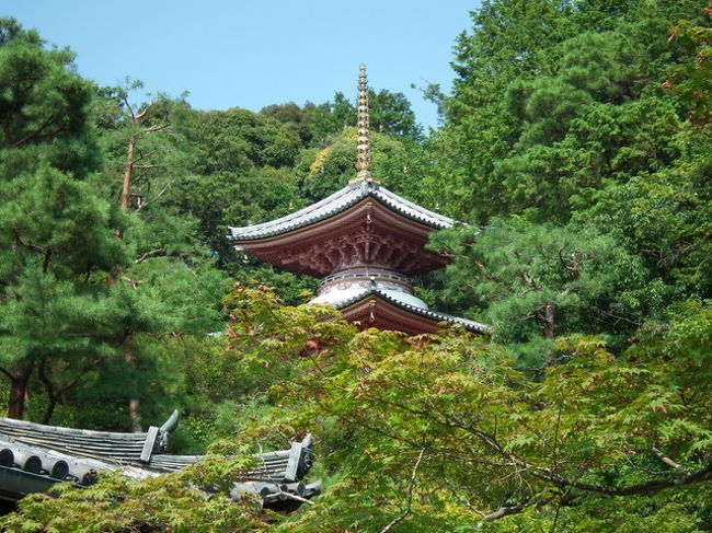 泉涌寺ぶらり　その二は今熊野観音寺に参ります。<br />境内は自由に散策でき紅葉もいいですよ！<br />多宝塔が上の方にあるため人が多くても頭越しに撮影できます。
