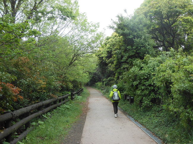 東京港野鳥公園でバードウォッチング [2013](2)