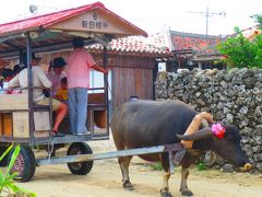 台湾在住のナイチャーが行くヤイマの旅（3）