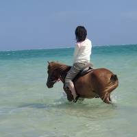 2013年　海馬遊びと飛び立つ飛行機を見送るエアポートビューのお部屋♪　夏の終わりは沖縄へ １