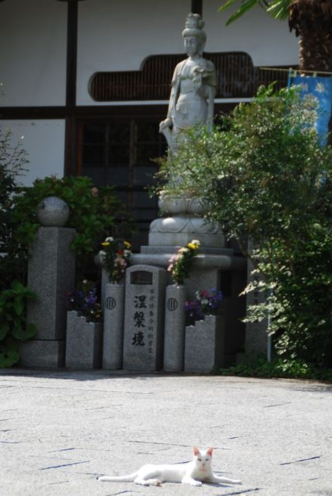 ★ちょこっと塩竈・松島①　ーしおがまさま とか 猫寺 とか。★