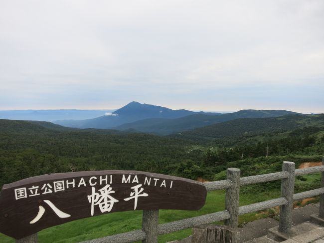 ＜第3日＞<br />8:30　新山根温泉べっぴんの湯を出発<br />　沼宮内野田街道（塩の道）をドライブ　風が涼しい〜<br />10:30　のむヨーグルト＠くずまき高原牧場<br />11:45　かんたんな昼食＠松尾八幡平ビジターセンター<br />　アスピーテラインをドライブ　さらに涼しい〜<br />13:20　八幡平展望駐車場にレンタカーをとめて、ミニトレッキング<br />　整備された道を歩き、雄大な景色や湿原の草花を堪能<br />16:00　藤七温泉　彩雲荘にチェックイン<br />　標高1,400mの秘湯。硫黄の匂いがたちこめるワイルドな温泉。