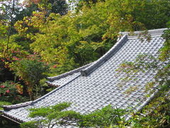 泉涌寺ぶらり　その三　来迎院！2013年