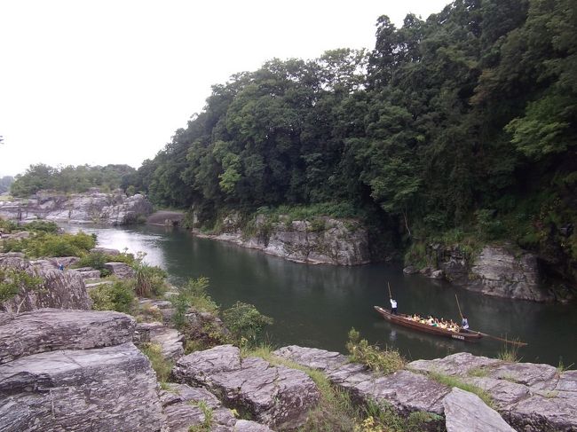 埼玉県長瀞・飯能・狭山日帰り旅行。交通手段は車。<br />駐車場の有無、移動時間、見学・拝観目安、御朱印をもらえる場所を紹介。<br />長瀞七草寺巡りは車でまわると2時間ほどで完了する。7か所の御朱印を集めると、最後の寺で記念品(タオル)がもらえる。<br />子の権現、竹寺の山道はガードレールの無い狭くて急な山道で、霧も発生していて危険だった。