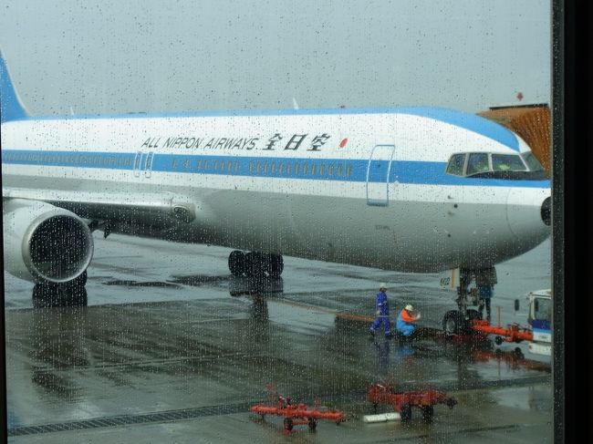 不思議ですが、全日空の昔のカラーリングの飛行機の方が　歴史を感じることが出来るように感じます。