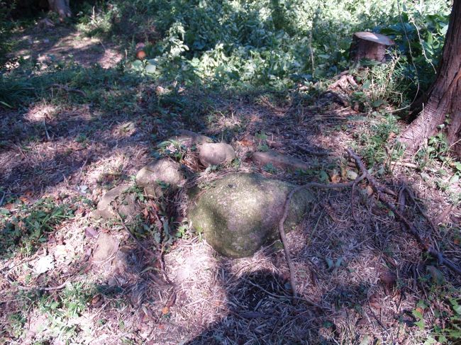 　葛原岡神社（くずはらおかじんじゃ）は鎌倉では最も新しい神社である。明治20年（1887年）に鎮座祭を執り行い、翌明治21年（1888年）に創建された。平成20年（2008年）に鎮座120年を迎え、平成18年（2006年）には本殿を遷宮し、新しく再建している。現在では「鎌倉の縁結び」として売り出し中であるが、鎌倉の他の神社ほど歴史がある訳ではない。<br />　葛原ヶ岡（くずはらがおか）の地名は梶原氏の祖「葛原（かずらはら）親王」を祀っていたことに由来する。葛原親王（延暦5年（786年）～仁寿3年（853年））は桓武平氏の祖であり、天長2年（825年）子女を臣籍降下させ平（たいら）の姓を称することを上奏して許されている。<br />　「葛原（かずらはら）親王」を祀っていたので、「葛原ヶ岡（くずはらがおか）」の地名になった。しかし、その地にある神社は葛原親王を祀っているのではなく、日野俊基を祀っている。<br />　葛原岡神社の祭神が日野俊基卿となったのは死後550年余り後のことである。従四位下から4階級特進して増従三位となった。現在でも、警察官や自衛隊隊員、外交官などが殉職すると2階級特進することがしばしばあるが、旧日本軍の規定には4階級特進まであった。しかし、実施された例はこの日野俊基だけであろう。しかも550年以上も経てから。<br />　葛原岡神社の石鳥居を潜った参道あたりは築壇を壊しているとも言われている。本殿の右手には小高い丘があり、塚のようにも見える。古くは葛原親王を祀っていた社とともに塚も築いたのかも知れない。その塚や築壇の傍らには藤原仲能（道智禅師）の墓と伝承されてきた塚があり、「道智の塚」または「阿古耶尼(あこやに)の塚」と伝えられていたが、海蔵寺の言い伝えでは仲能の塚とされる。また、位牌が海蔵寺に残っている。海蔵寺の中興開基の墓が海蔵寺裏山山頂ではなく、山頂を降りたあたりにあるのは、山頂に開山の墓とか先達の墓（塚）でもあったからであろうか？あるいは、葛原親王を祀った社があったからだろうか？<br />（表紙写真は葛原岡神社の裏山山頂の石積）