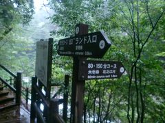 屋久島１人旅　１日目　～台風接近中にヤクスギランドへ～