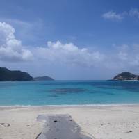 2013/8/31～9/4 沖縄・渡嘉敷島 ダイビング旅行