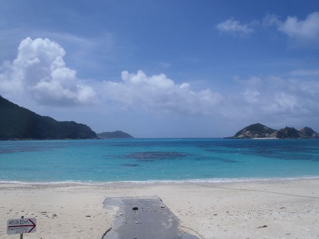 年に一度のダイビング旅行。<br />2013年は沖縄、慶良間の渡嘉敷島に決定~~<br /><br />前半2泊はシーフレンドさんに泊まってダイビングを満喫し、<br />後半2泊はケラマテラスさんに泊まってリゾート気分を味わう予定。<br /><br />しかし、台風15号通過後で、海は大丈夫なのか?と思いつつ行ってきました。・・結果、あんまり大丈夫じゃなかったカモ。