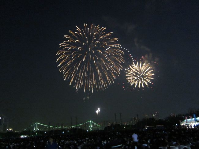 2013年の夏はゲリラ豪雨で隅田川花火も中止になり、大丈夫かな？という思いで出かけた花火大会。<br />昨年と同様に中央区HPより申込みを行い、2年連続で当選！<br />第一会場での鑑賞となりました。9月8日早朝に決定した東京オリンピック・パラリンピックですが、<br />このときは招致決定をねがっての花火があがっていました。<br /><br />