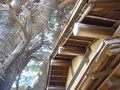 日暮里・西日暮里の旅行記