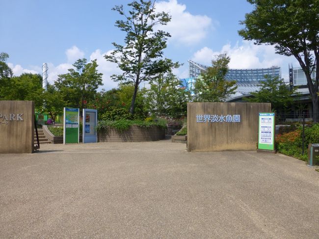 各務原にある国営木曽三川公園の河川環境楽園に行ってきました。日差しは強かったんですがお天気も良くゆっくり散策できました。いつもは孫と一緒に来るので結構バタバタして自分が楽しめませんが今日はのんびり自分のペースで散策できました。<br />たまにはこんな楽しみ方もいいな〜。<br />アクアトトという水族館は有料ですが、公園内は無料です。土日にはいろいろなイベント（有料のものもあります）も開催されています。