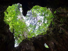 激歩140キロ　4つの世界遺産を歩き回った今年の夏の旅　　縄文杉トレッキング編