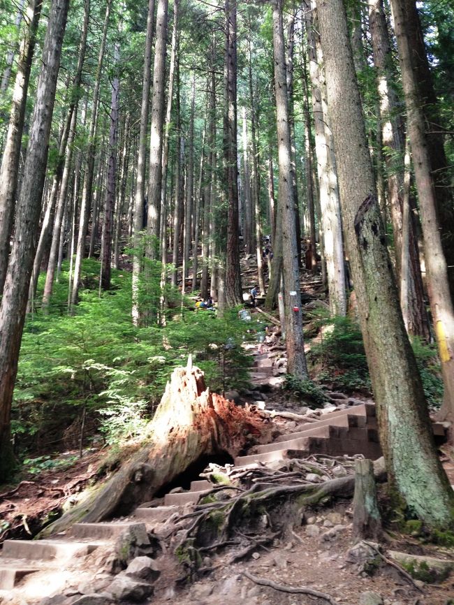 同僚に誘われて、グラウス・グラインド（Grouse Grind）に初挑戦しました。<br /><br />グラウス・グラインドとはノース・バンクーバーのグラウス山（Grouse Mountain）にある有名なハイキング・コースです。<br /><br />ハイキングと言っても、急峻な山道（2.9km、標高差853m）をひたすら山頂まで登り続ける苦行です。景色も楽しめません。<br />でもその分、登りきった後の山頂からの景色は格別です。<br />タイムは1時間10分で、同僚の中では1番でした。<br /><br />※ 日本では「登山」と言われそうですが、この程度ならカナダでは「ハイキング（hiking）」と言われます。カナダでは「登山（climbing）」は、専門的な器具を使う本格的な山登りを指します。