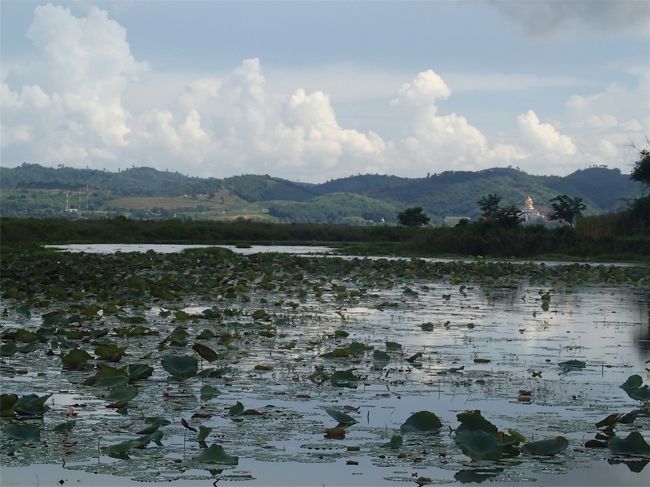 チェンライ県のメチャン郡とチェンセン郡との間に大きな湿地帯があります。<br />湿地帯にアクセスする道とその周回路にダートがあります。<br />短いダートですが面白そうです。行ってみましょう。