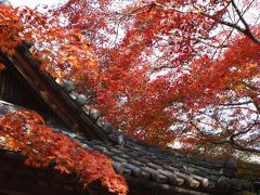 2009年秋　大阪・松尾寺/紅葉