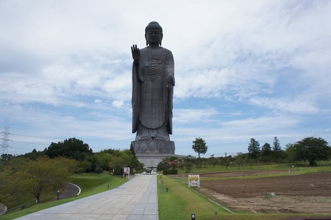 全高120mはブロンズ立像として世界最大。奈良の大仏が掌に乗り、ニューヨークの自由の女神の約3つ分の高さにもなる大きさ。<br /><br />東京からいくには上野から常磐線で４５〜５５分　牛久駅からバスで向かいます。　駅前のバス停なのですが、不安だったため停車中のバスの運転手に牛久大仏行きか聞こうとすると・・・・<br />・バスの運転手は運転席で漫画読んでました(笑）　<br />しかもさらにのったまま待ってると・・・<br />・同僚のおじさんが「やぁ〜眠そうだね！　とコーヒーを差し入れされてました。<br /><br />都会ではありえない光景だけに少々不安な気持ちのまま出発しましたが無事到着しました。<br /><br />大仏の中は少しB級感がただよってましたが迫力は圧巻です。<br />