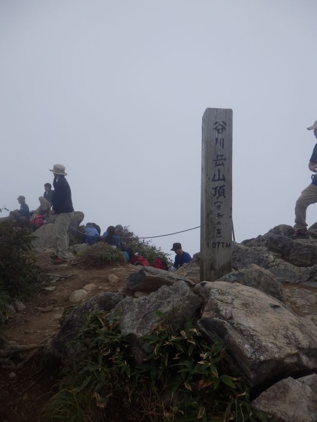 翌日は巻機山からの帰り道になる谷川岳（１９７７ｍ）へ。<br /><br />最近よく天気をチェックしていた谷川岳ですが、残念ですが朝から霧で展望は望めませんでした。<br />ロープウェイやリフトを使って標高を稼げます。<br /><br />六日町の温泉宿６：３５発→関越：六日町ＩＣ→水上ＩＣ７：１４着→谷川岳ロープウェイ駅７：３５<br /><br />≪天気≫霧<br />≪写真≫谷川岳山頂（オキの耳）：双耳峰の頂きです。<br />≪時間≫約６時間（渋滞の為）<br /><br />この山は子供連れの登山者も多い人気が高い山なんですね。富士山渋滞を思いだしました。<br />鎖場もあって変化のある飽きない山です。