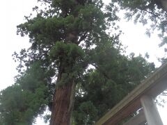 式年遷宮の伊勢神宮を訪ねる旅 ！